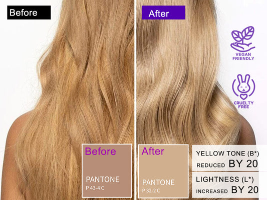 Sulfate Free Brass Toning Purple Shampoo Bar and Conditioner Set for Blonde, Bleached, Silver, or Brown Hair, Neutralizes Brassy Yellow Orange Tones, 6 oz