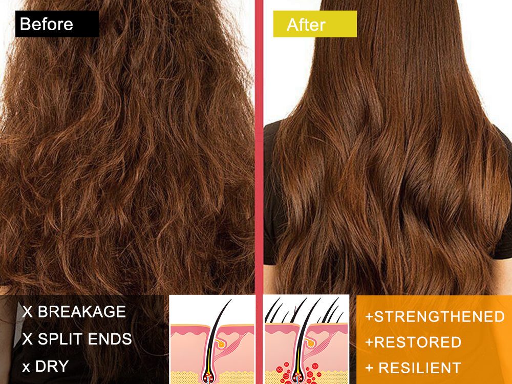 SAPHUS Strengthening & Shine Duo: Castor Oil Shampoo & Argan Conditioner Bar Set