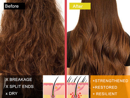 SAPHUS Strengthening & Shine Duo: Castor Oil Shampoo & Argan Conditioner Bar Set